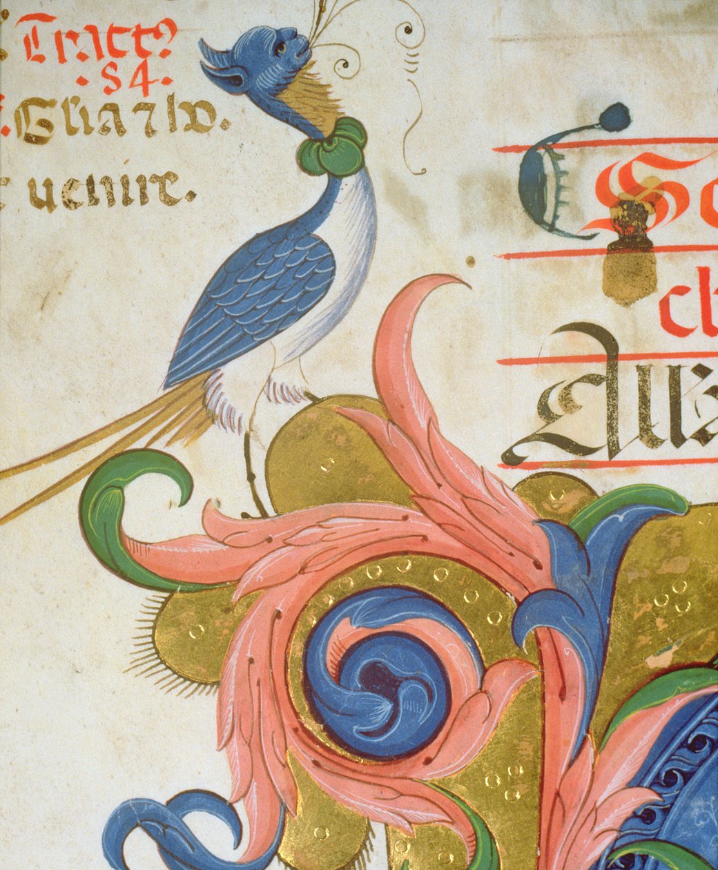 Misál 515 f.28v Fantastický pták s lidskou hlavou stojící na rohu historické iniciály, detail ze sborové knihy provedené před rokem 1449 detail pergamenu 56724 od Filippo di Matteo Torelli