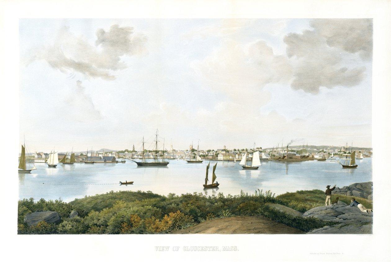 Pohled na Gloucester, Massachusetts, c. 1856 (chromolitograf) od Fitz Henry (attr.to) Lane
