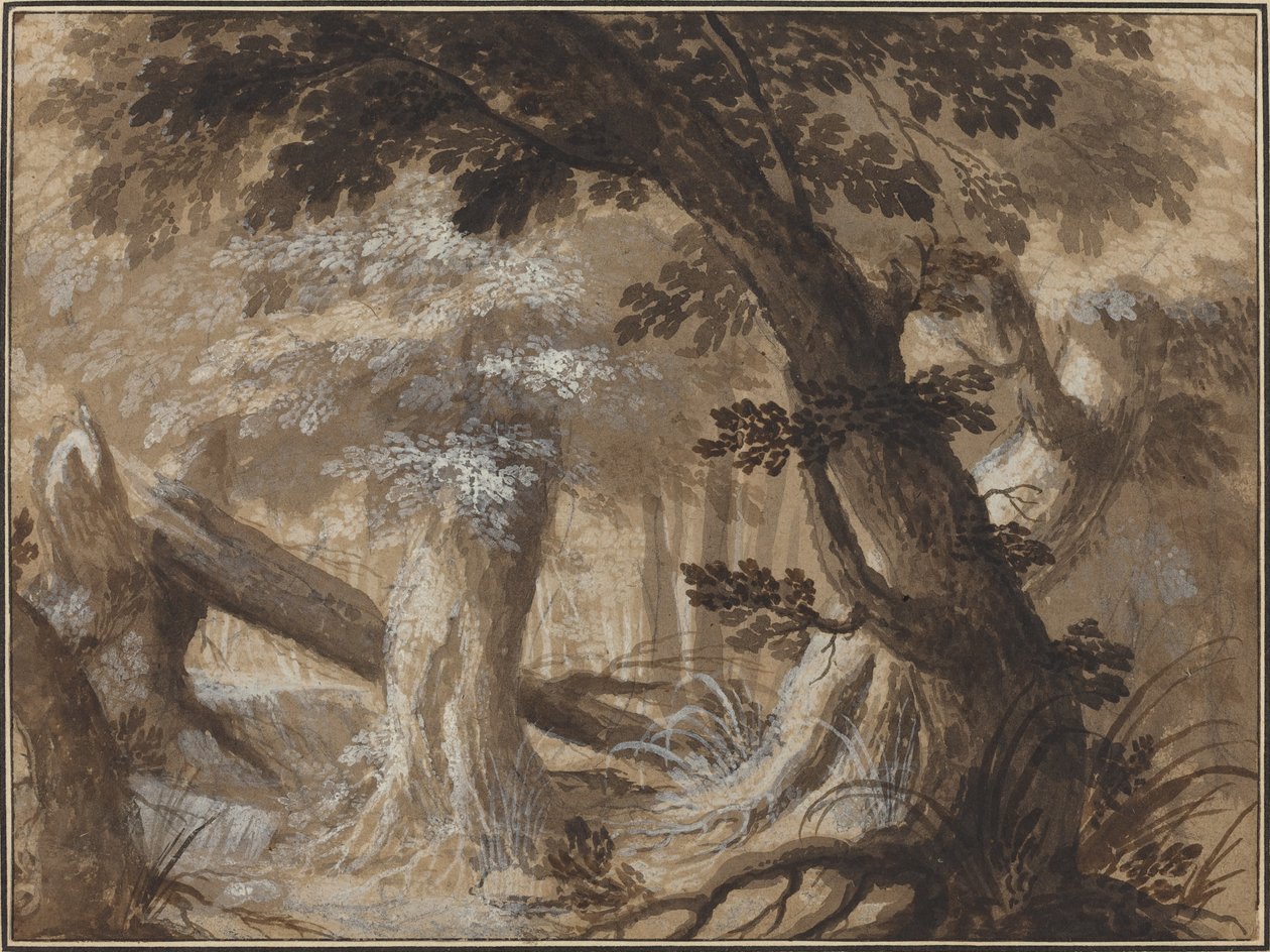 Lesní interiér od Flemish 17th Century