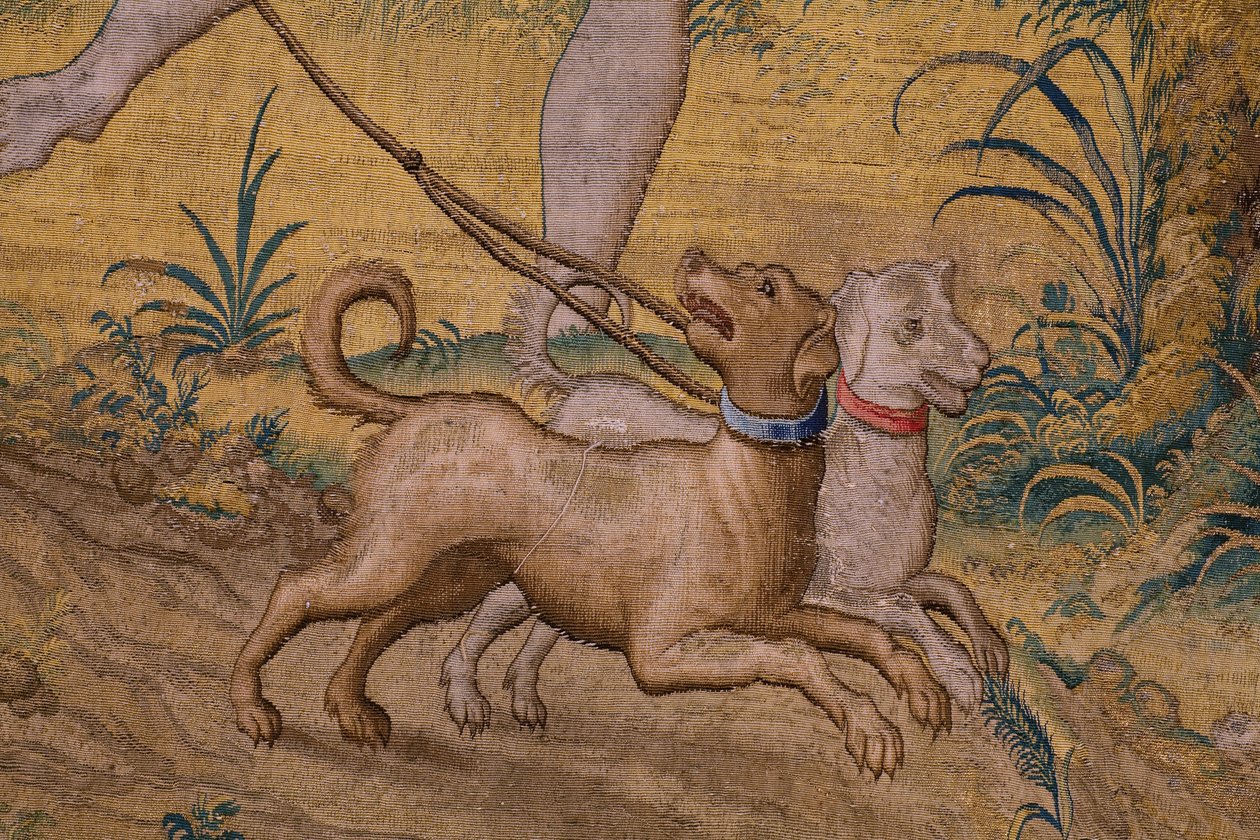 Vlámský gobelín. Seriál Fable of Ovidius: Loupež Ganymeda. Ateliér Willem de Pannemaker, Brusel. Před rokem 1556. Detail. od Flemish School