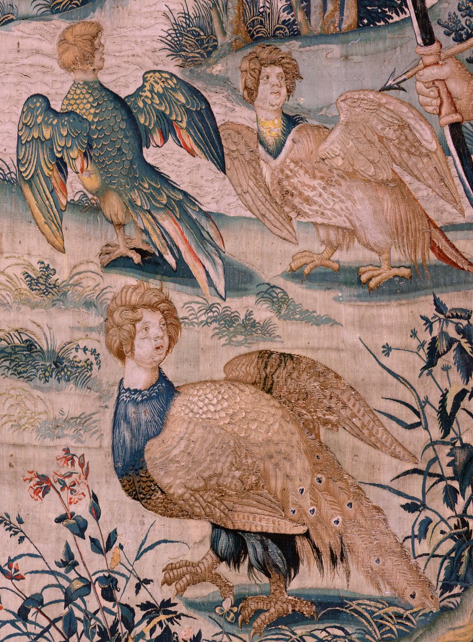 Vlámský gobelín. Seriál The Labors of Hercules. Hercules a Stymphalian ptáci (Hércules y las aves del lago Estínfalo). První tapisérie v dochované sérii. Model neznámý. Výroba Willem Dermoyen, Brusel. Ca1528. Tkanina Hedvábí a vlna. ; Velikost 3 od Flemish School