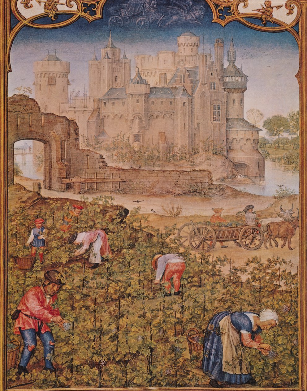 Fol.9v Měsíc září: Sklizeň vína, z Breviarium Grimani, kolem roku 1515 od Flemish School