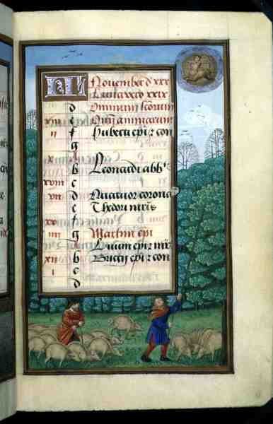 Ms 1058-1975 f.11r Herding Swine and Beating Oaks, osvětlená stránka kalendáře na listopad, z Knihy hodin, cca 1500 (vellum) od Flemish School
