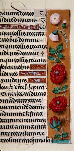 Ms. 1058-1975, f.120r: detail květinového okraje z Knihy hodin, cca 1500 (vellum) od Flemish School