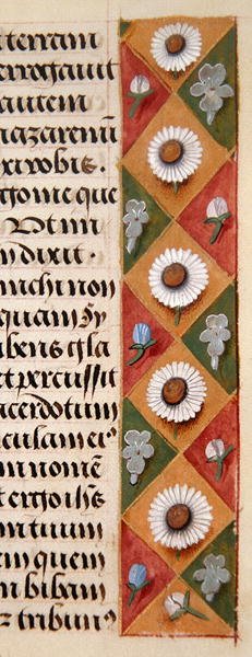 Ms. 1058-1975, f.16r: detail květinového okraje z Knihy hodin, cca 1500 (vellum) od Flemish School