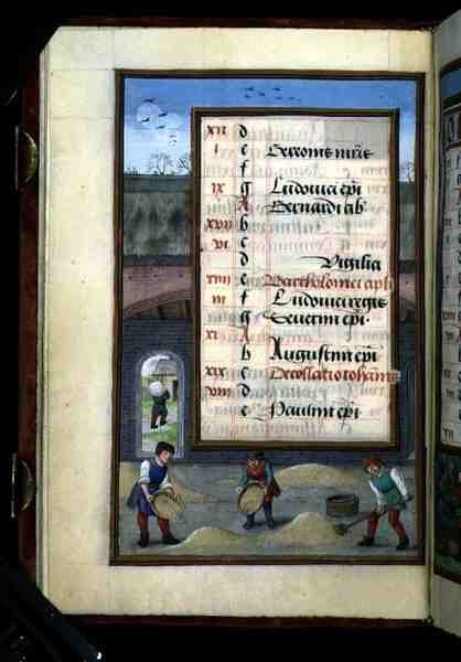 Ms 1058-1975 f8v Winnowing Corn in a Barn, osvětlená stránka kalendáře na srpen, z Knihy hodin, cca 1500 (vellum) od Flemish School