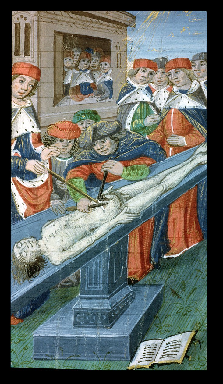 Paní Hunter 9 10r Dissection, z De Medina Fen I. II, od Avicenna (980-1037) od Flemish School
