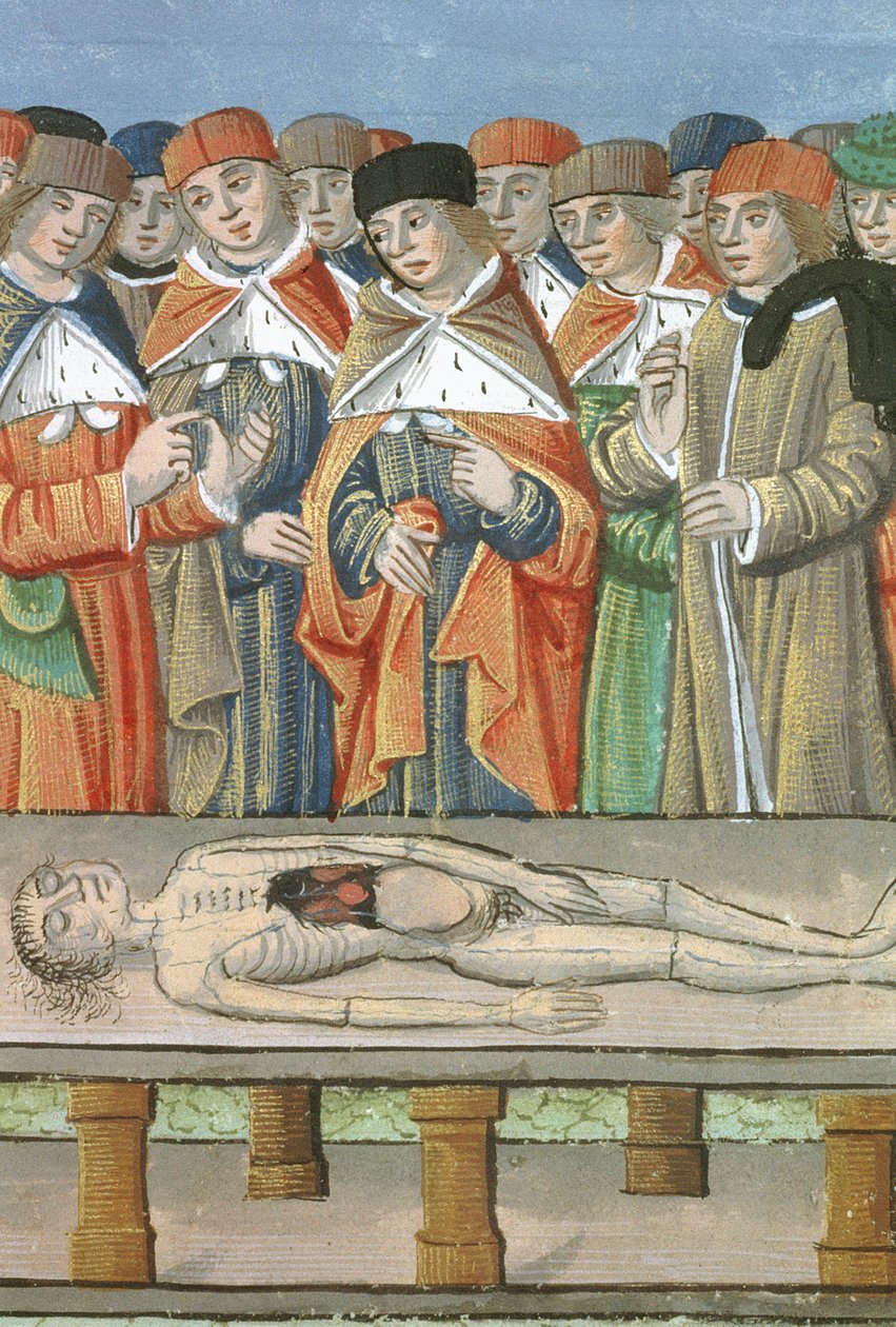 Paní Hunter 9 f.36r Dissection, z De Medina Fen I. II, od Avicenna (980-1037) od Flemish School