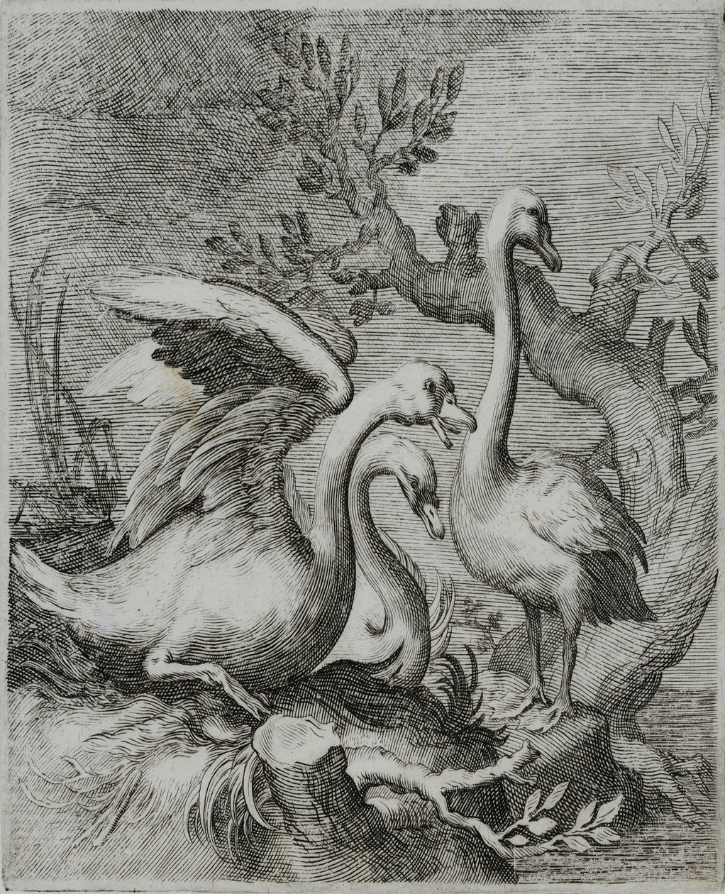 Starý mistr rytina od Flemish School