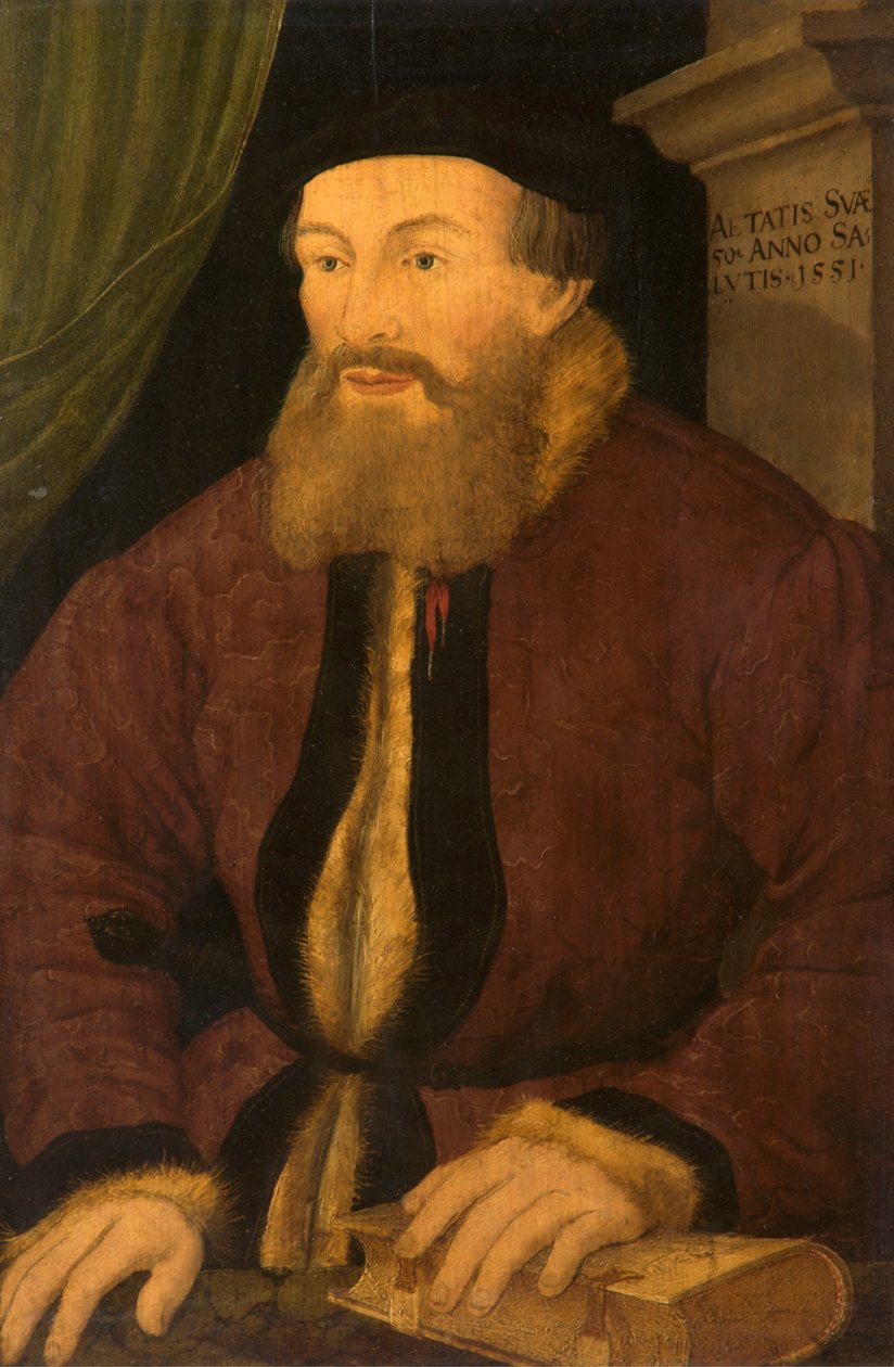 Portrét muže, 1551 od Flemish School