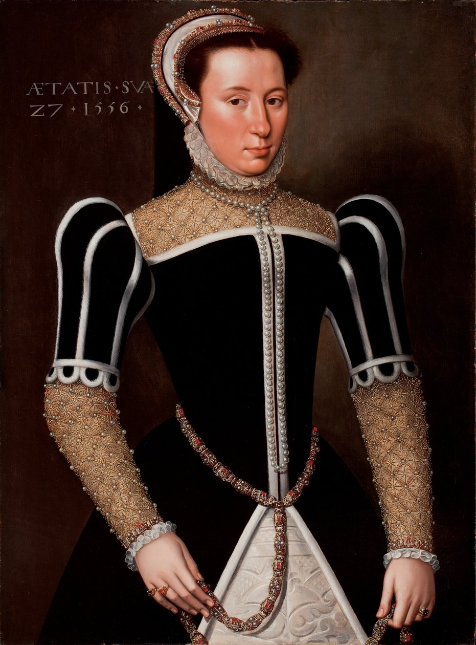 Portrét ženy, 1556 od Flemish School