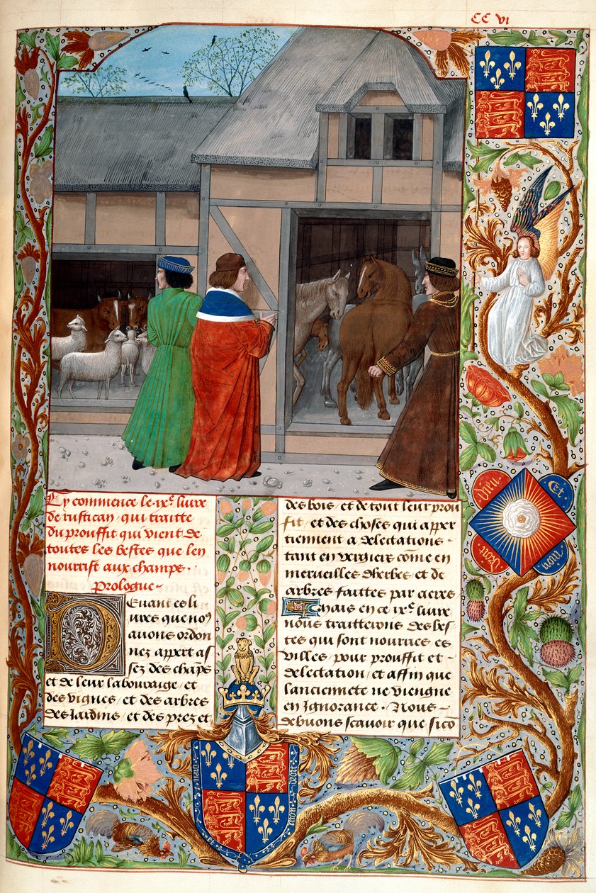 Royal 14 E. VI, f.215, Autor s koňmi a ovcemi, z 