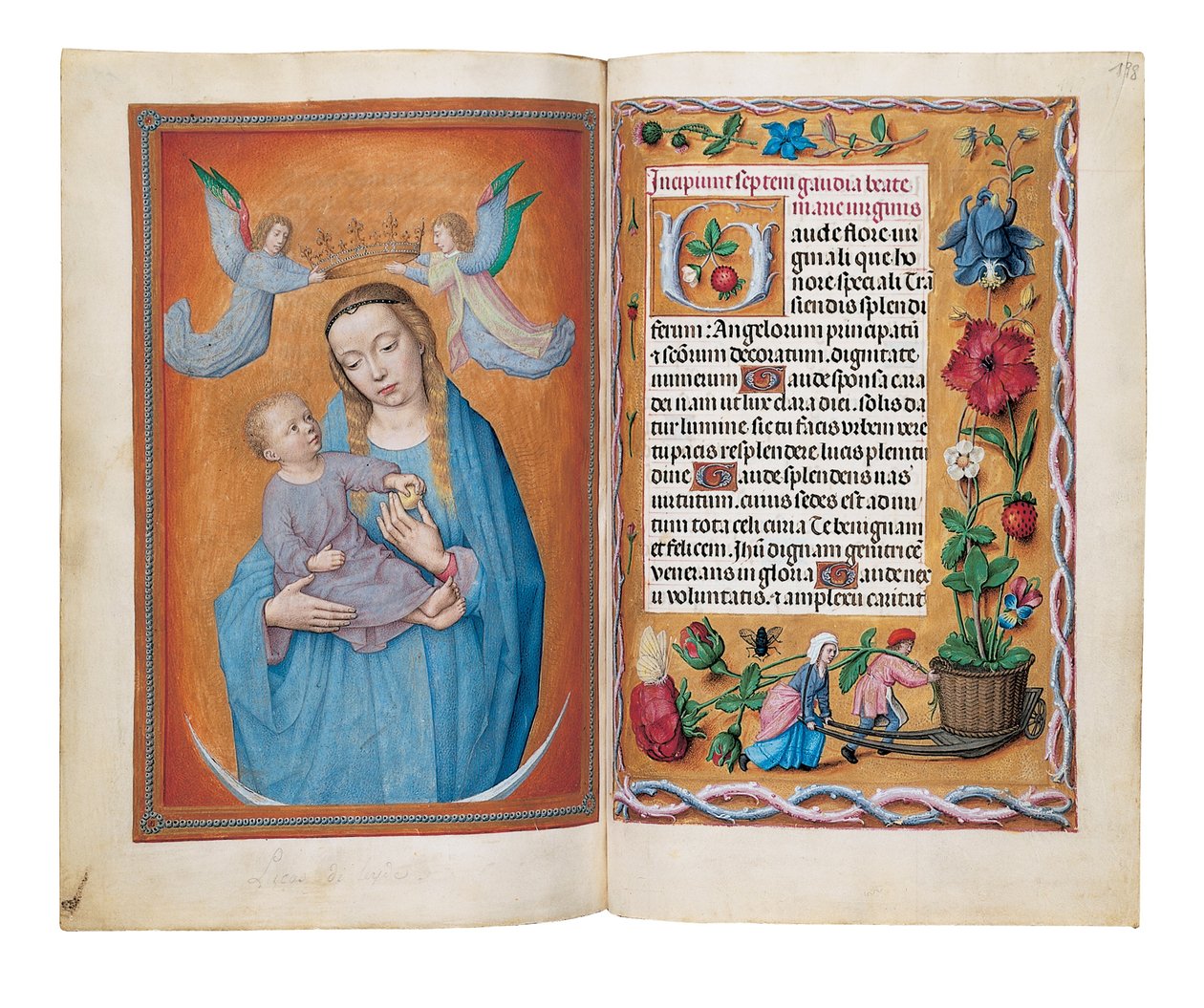 The Rothschild Book of Hours, Gent or Bruges, c.1505 od Flemish School
