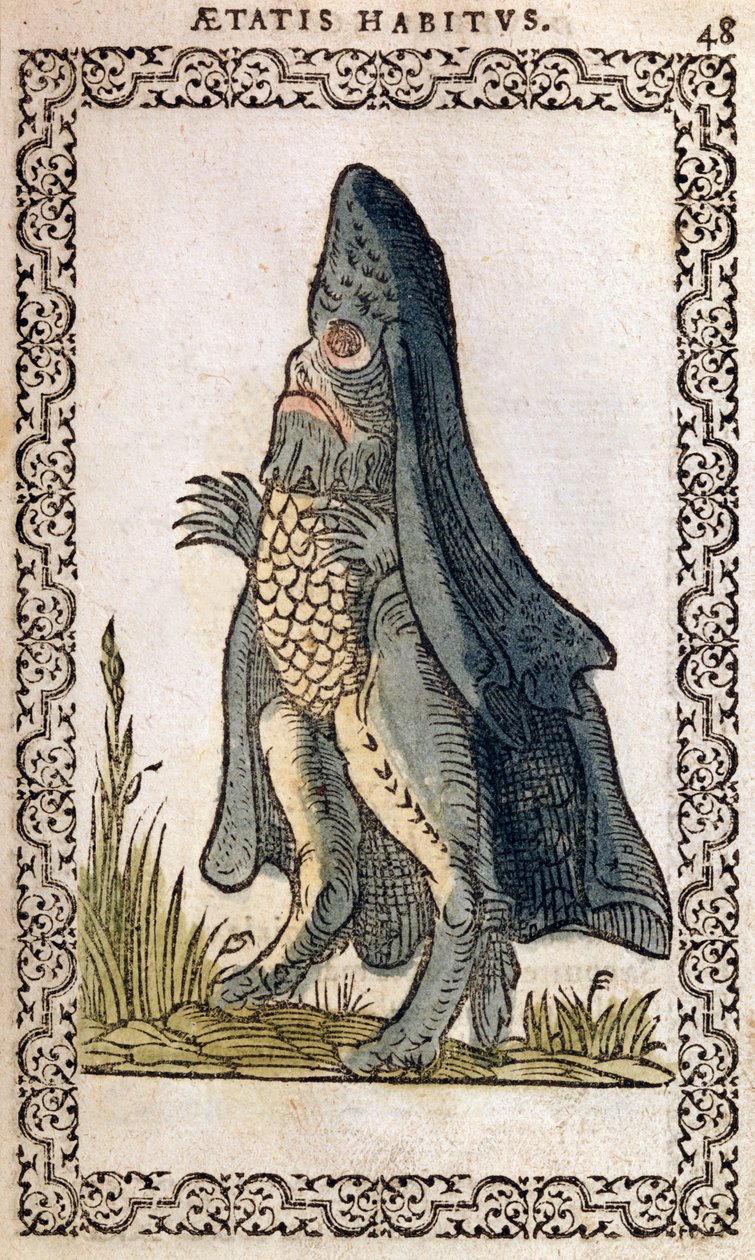 Mořský biskup nebo mořská příšera, ilustrace z knihy Zvyky a portréty téměř všech národů a současných národů od Jeana Sluperjiho, Antverpy, 1572 (barevný dřevoryt) od Flemish School