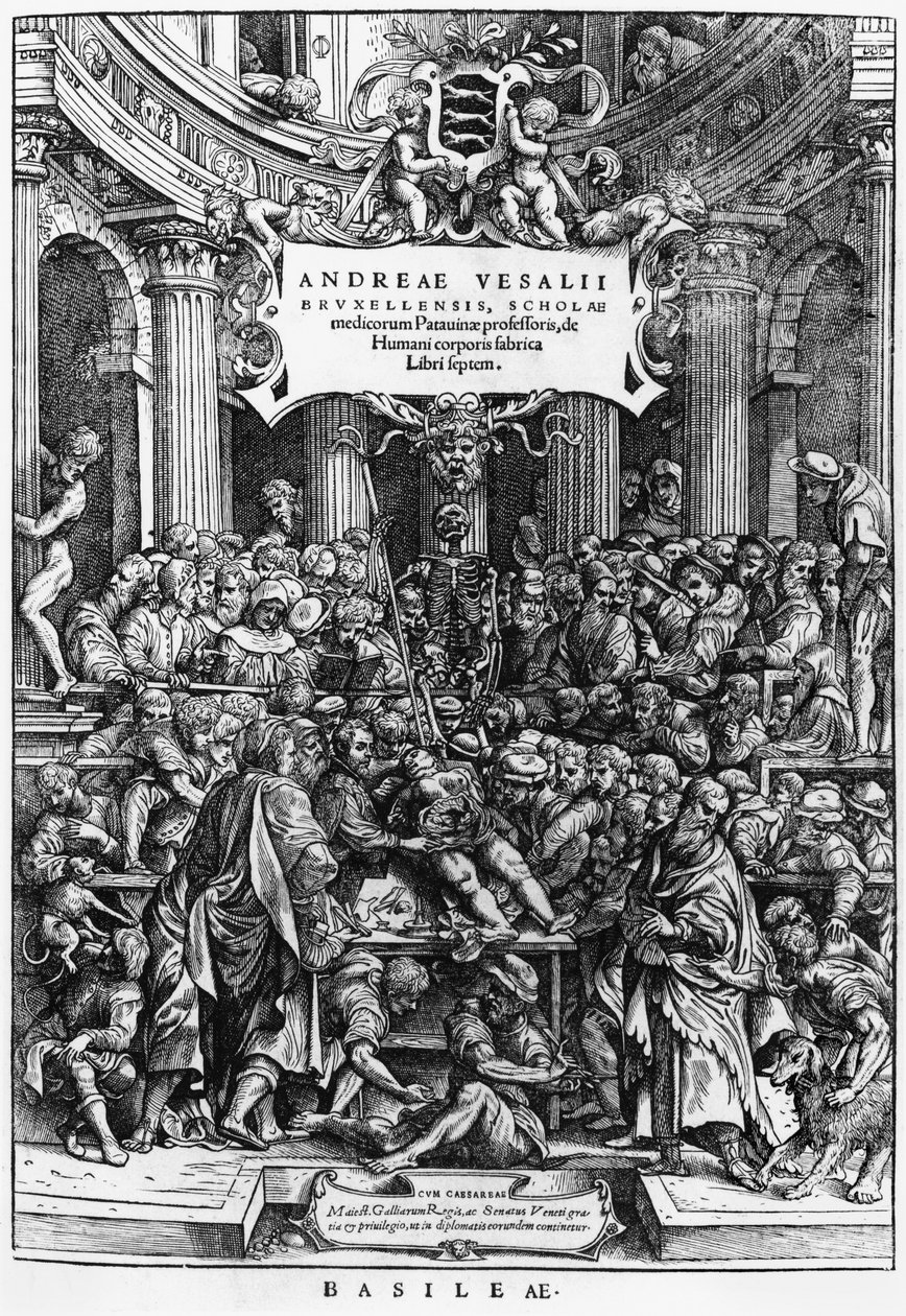 Lekce anatomie Andrease Vesalia (1514-64) na lékařské fakultě v Bruselu, frontispis z De Humani Corporis Fabrica, publikovaný v Basileji, 1555 (viz také 466697) od Flemish School
