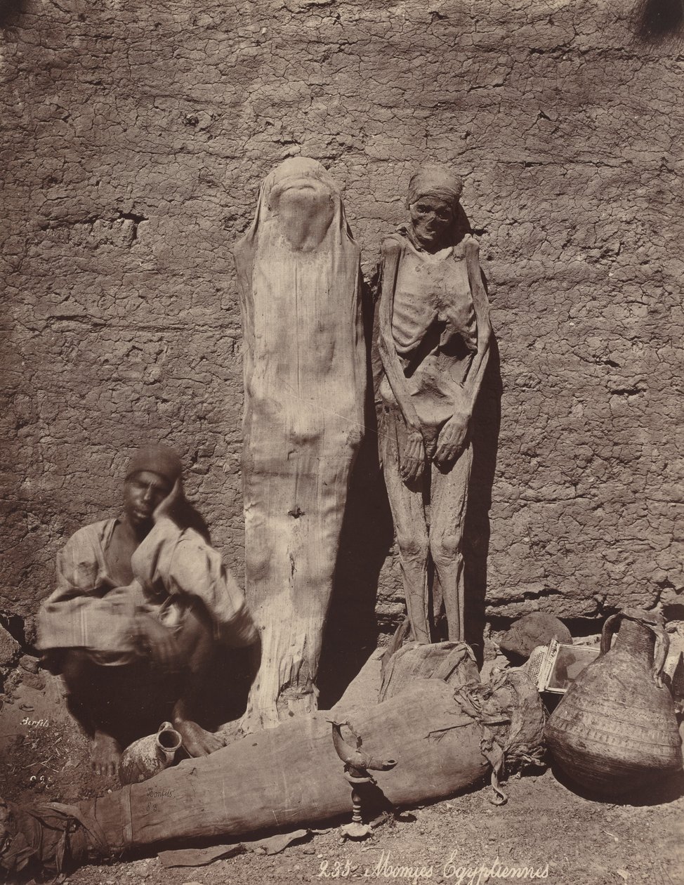 Momies Egyptiennes Egyptské mumie, c. 1870. od Félix Bonfils