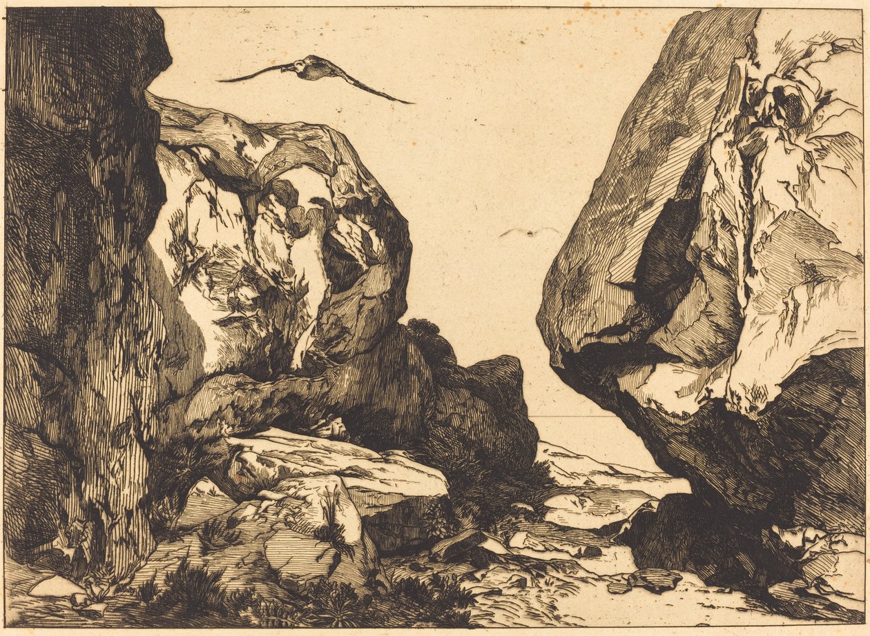 Soutěska ve skalách od Félix Bracquemond after Jules Laurens