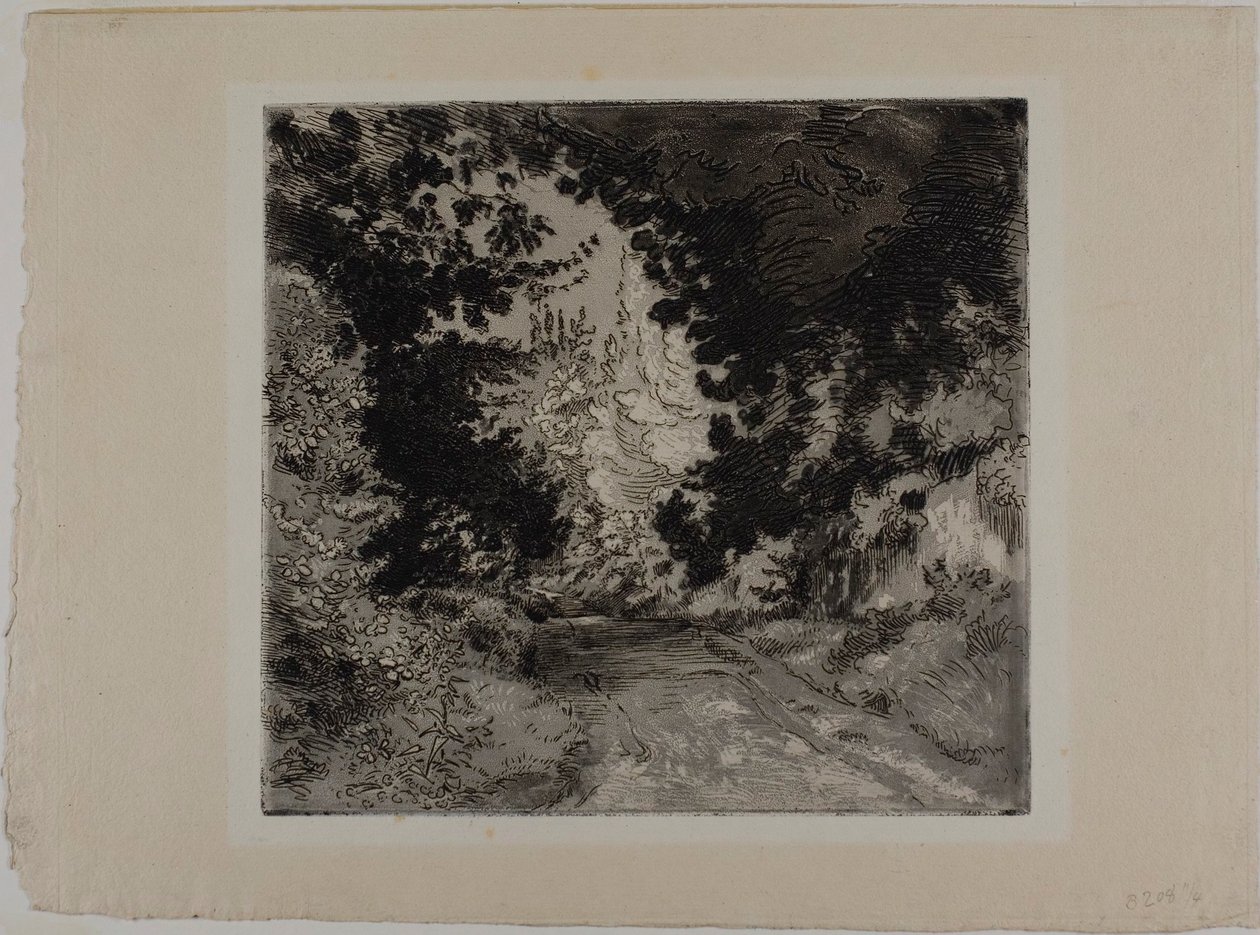 Chemin de Coutures v Sèvres od Félix Henri Bracquemond