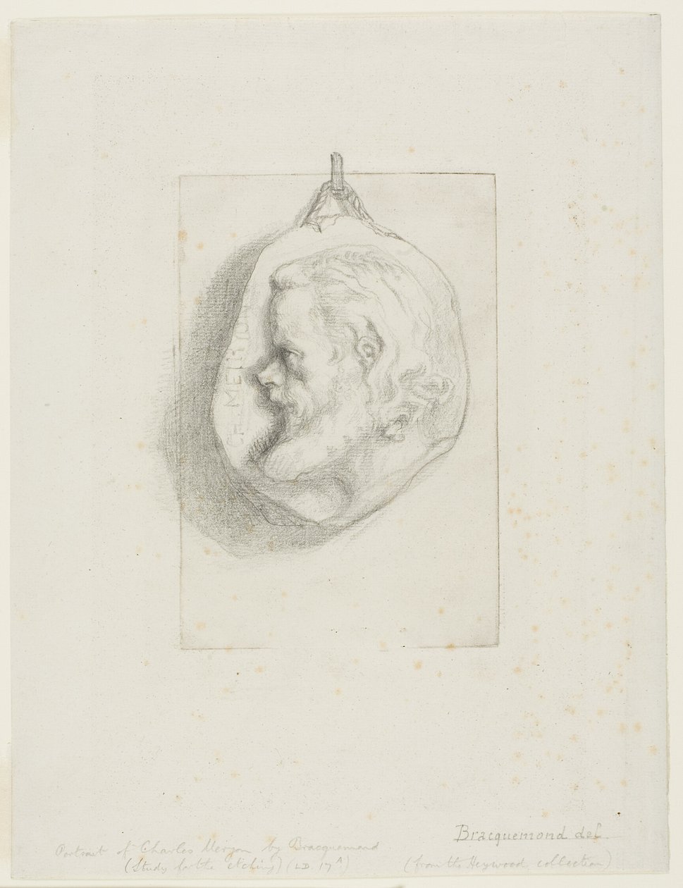 Profil Portrét Charlese Meryona od Félix Henri Bracquemond