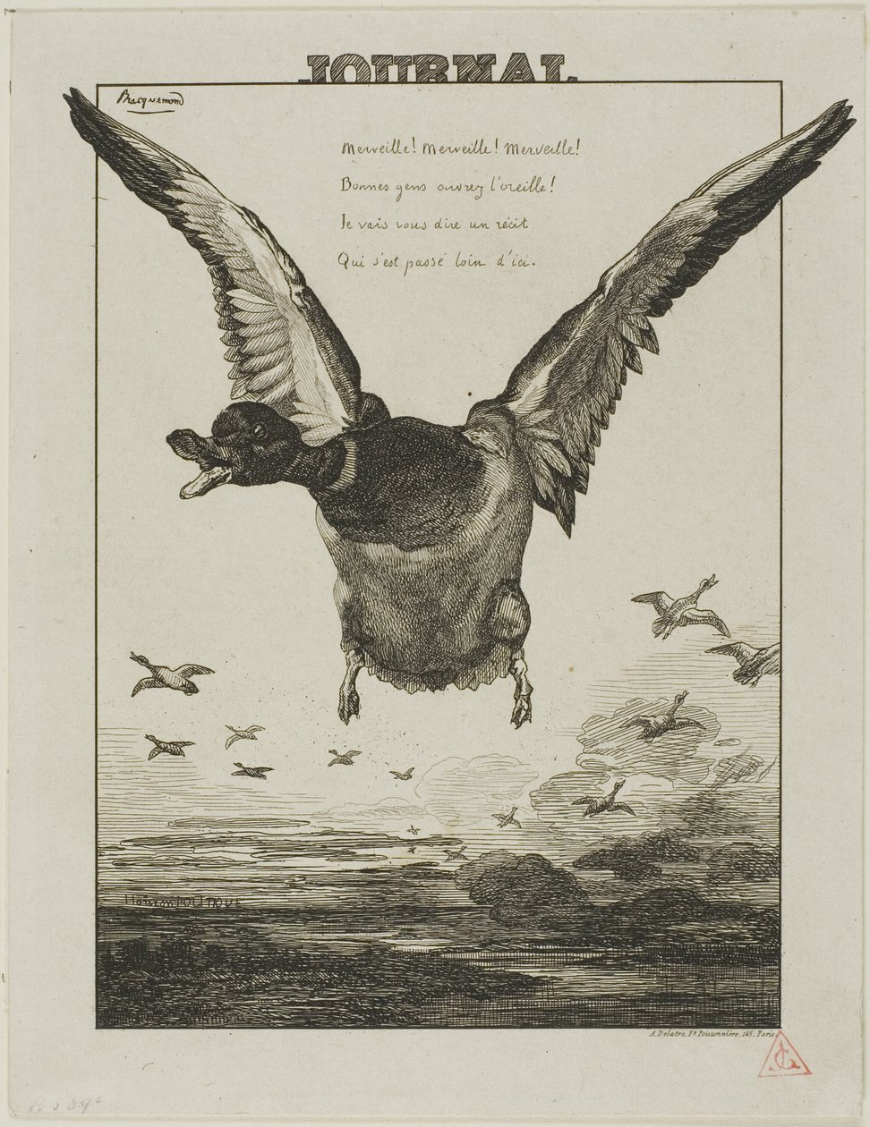 Kachna od Félix Henri Bracquemond