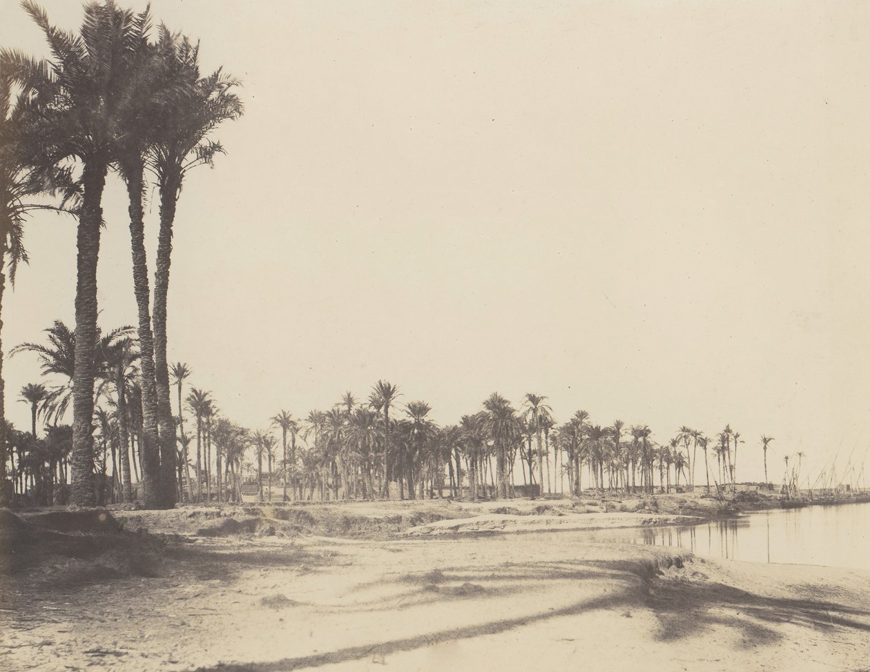 El-Nâcérah, Dattiers, Rives du Nil et Barques, 1851-52, tištěno 1853-54. od Félix Teynard