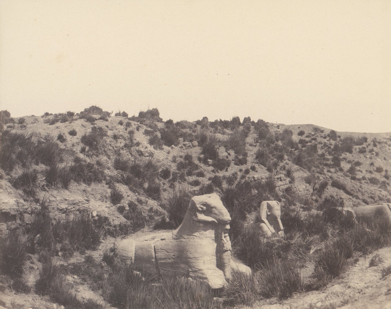 Karnak Théby, Sfinga s lidskou hlavou a Ramovou hlavou, v Y, 1851-52, tištěno 1853-54. od Félix Teynard