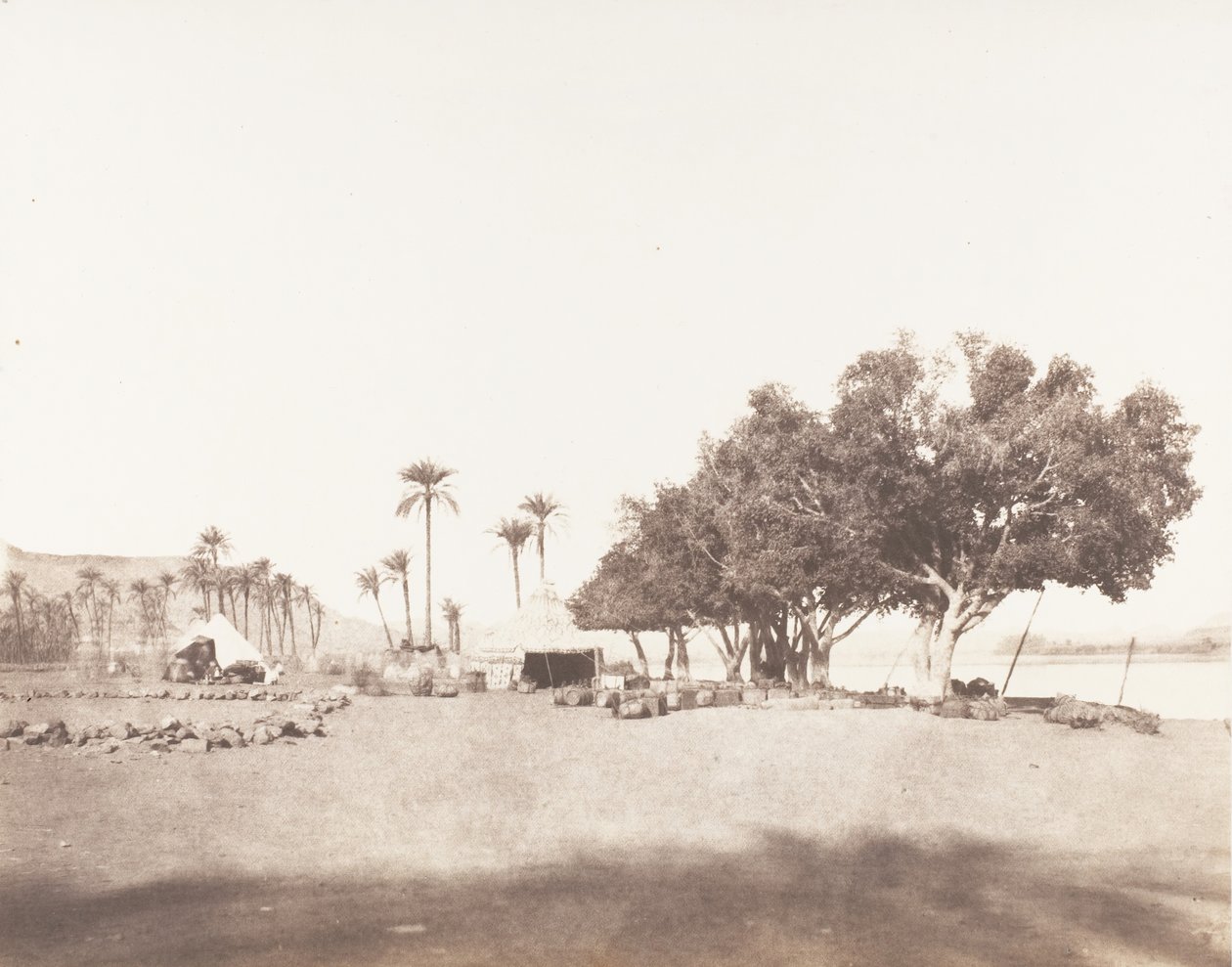 Korósko, Sycomores a tábořiště karavany pro Sennâr, 1851-52, tištěno 1853-54. od Félix Teynard
