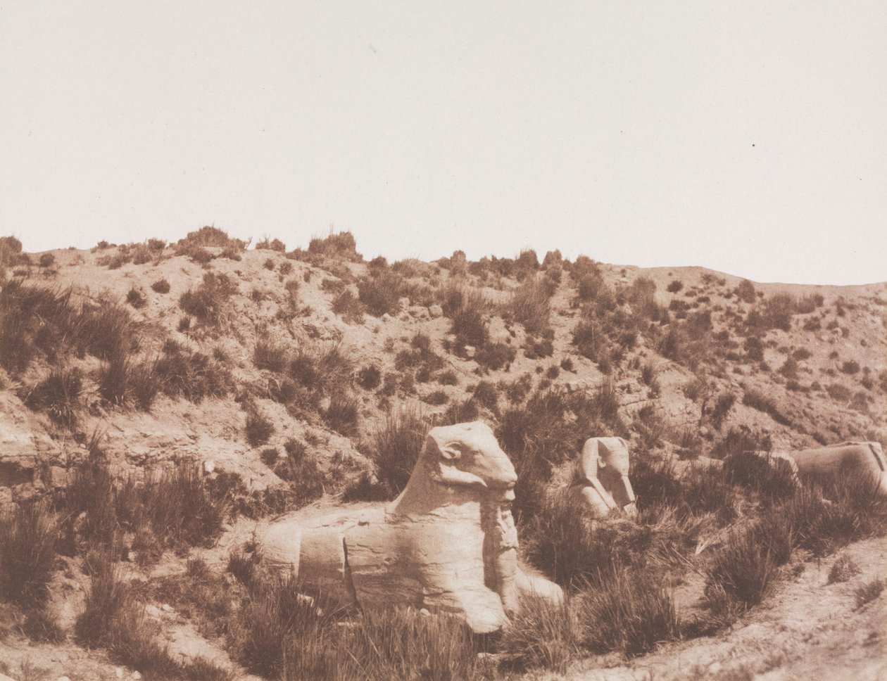 Sfingy s lidskou hlavou a s beraní hlavou v bodě Y. Karnak Théby, 1851-1852. od Félix Teynard