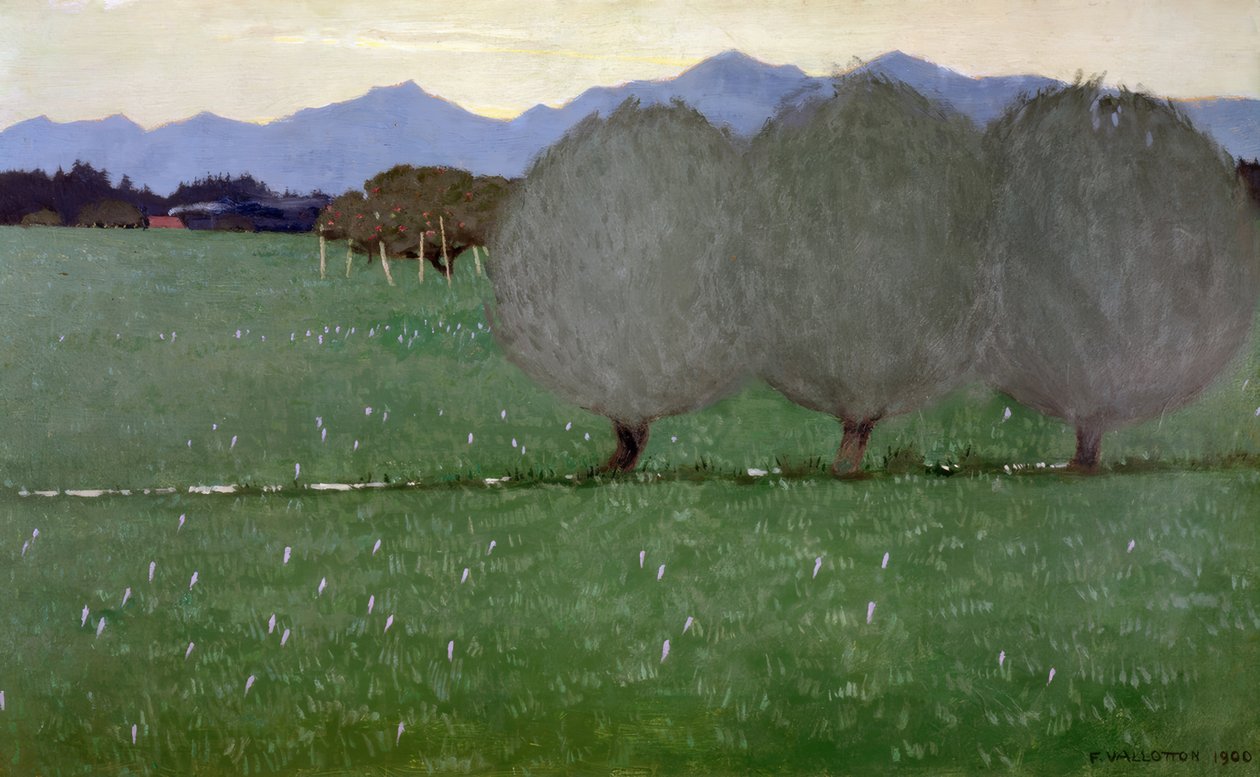 Vrby od Félix Vallotton