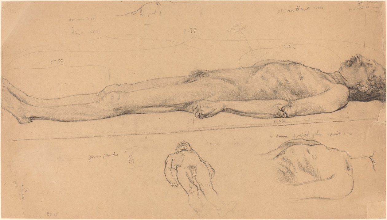 Mrtvola (studie mrtvého Krista) od Félix Vallotton