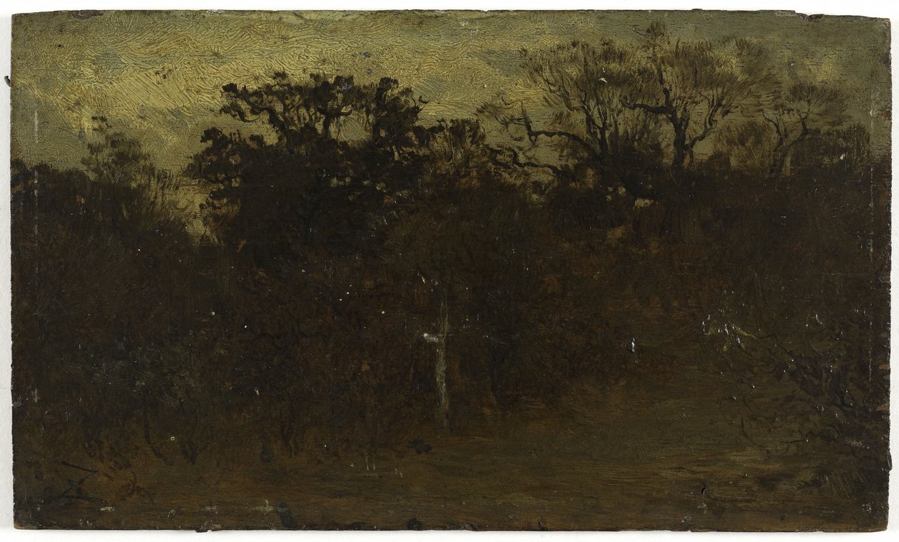 Lesní zákoutí, mezi lety 1850 a 1860 (olej na dřevě) od Félix Ziem