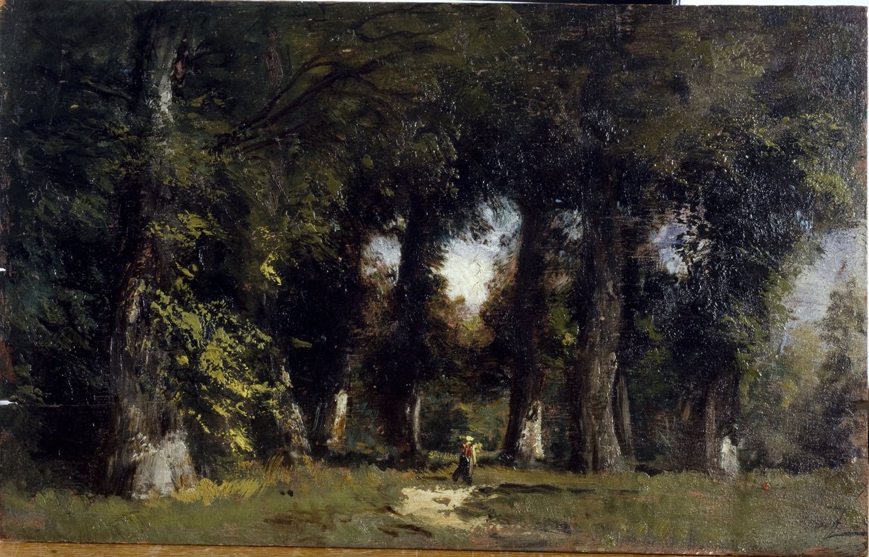 Okraj lesa (vpředu), Animovaná krajina (vzadu), mezi lety 1850 a 1860 (olej na dřevě) od Félix Ziem
