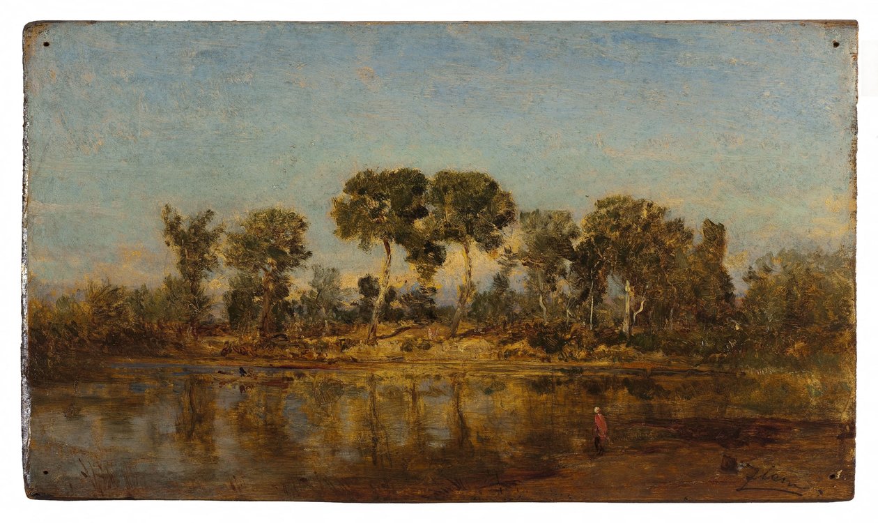 Rhôna mezi Arles a Avignonem, 1860-1865 (olej na dřevě) od Félix Ziem