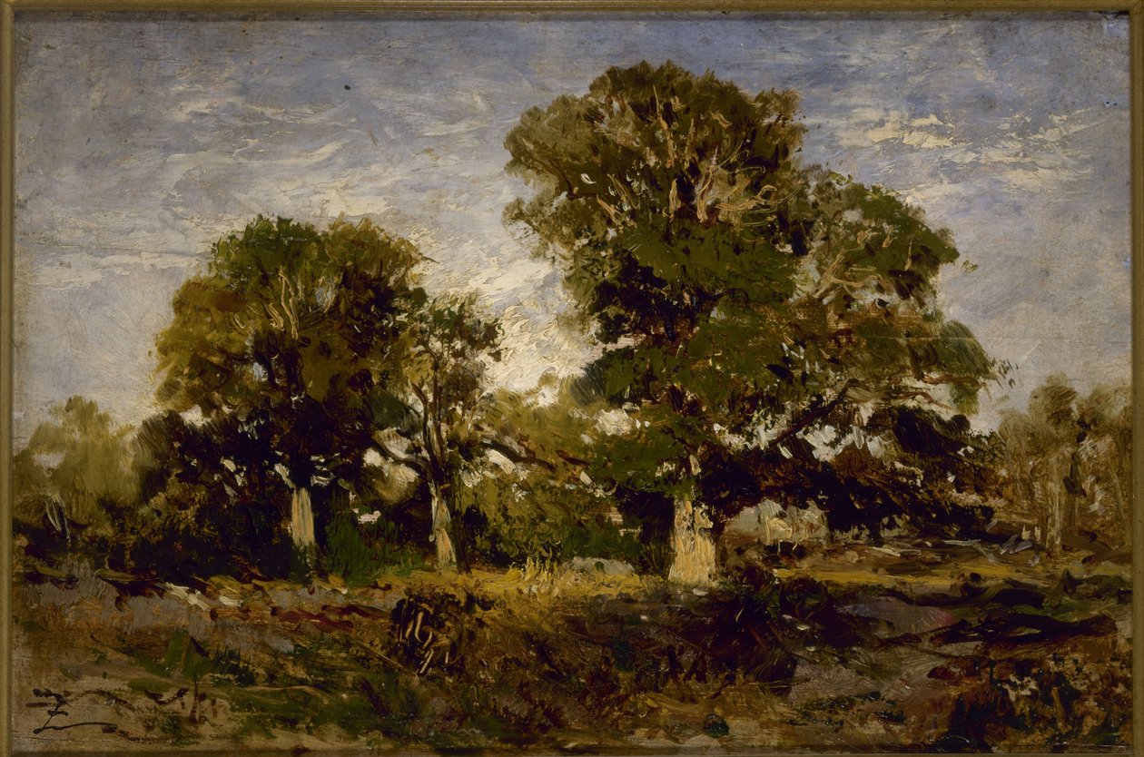 Duby, mezi lety 1850 a 1860 (olej na dřevě) od Félix Ziem