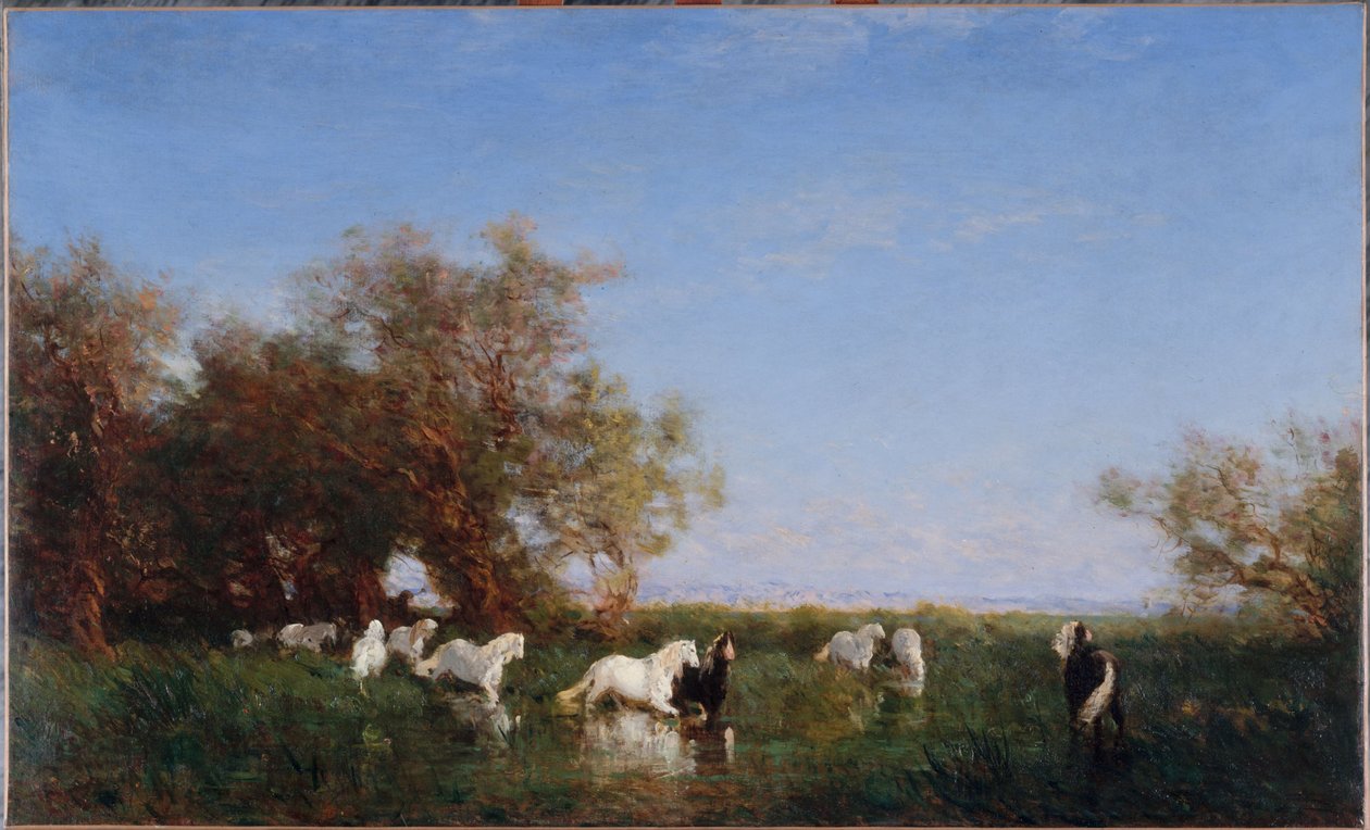 Divocí koně v Camargue, 1890-1895 (olej na plátně) od Félix Ziem
