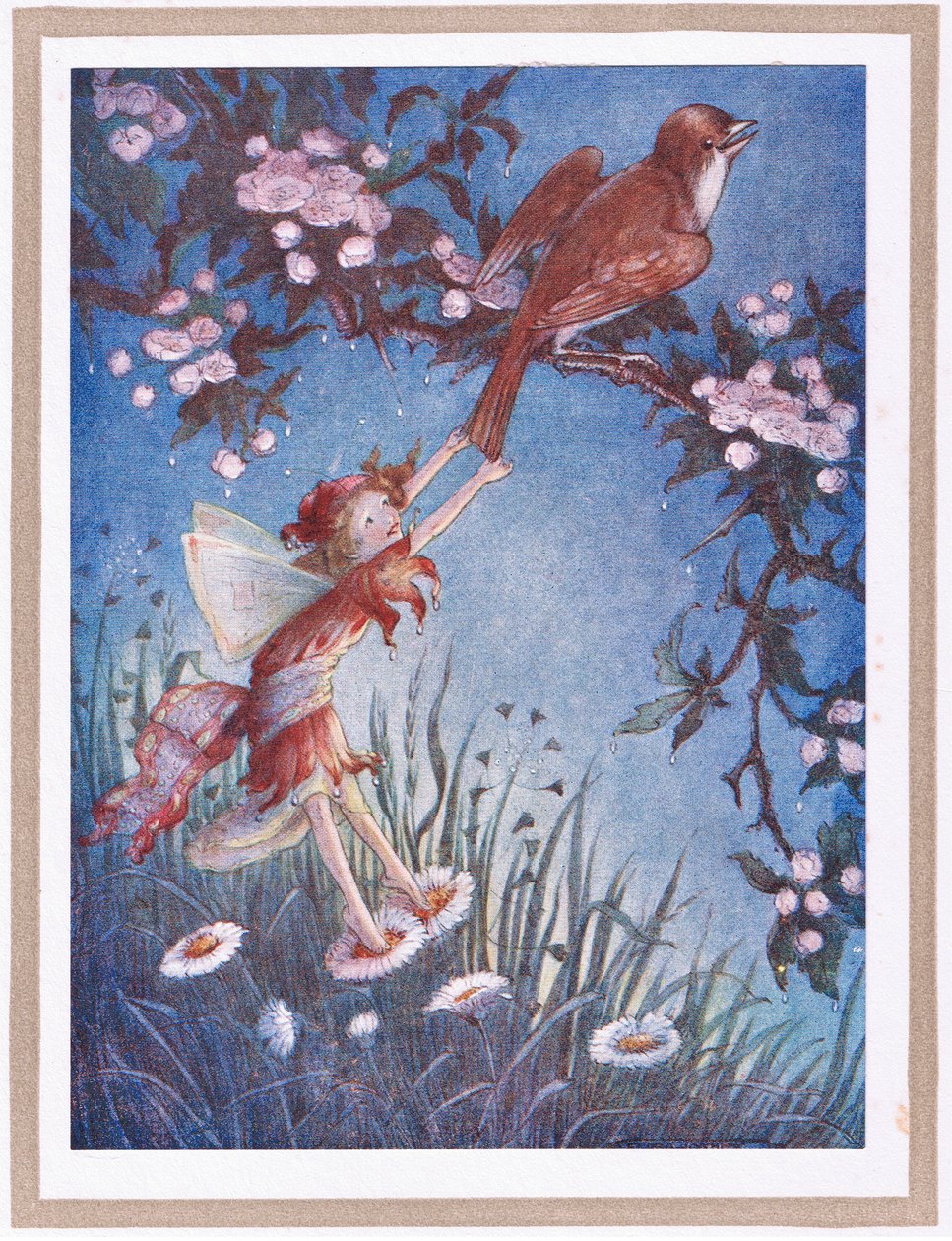 Zatahala slavíka za ocas (barevná litografie) od Flora White