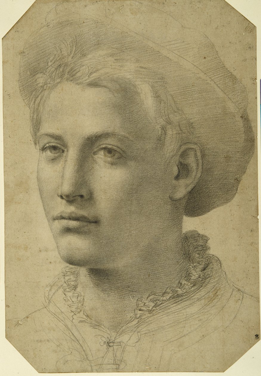 Portrét hlavy mladíka v čepici, cca 1530-40 (černá křída na bílém papíře) od Florentine School