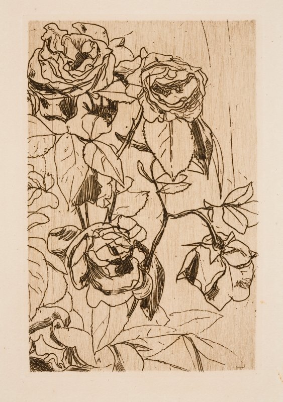 Studium růží od Floris Verster