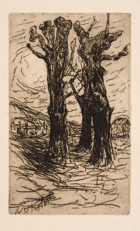 Dva kaštany od Floris Verster