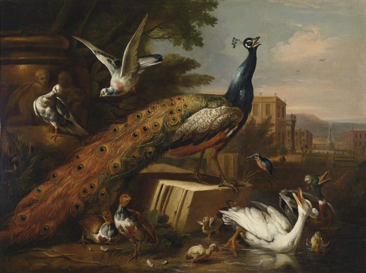 Páv obklopený holuby, kuřaty a vodními ptáky v zámeckém parku od Follower of Pieter Casteels III
