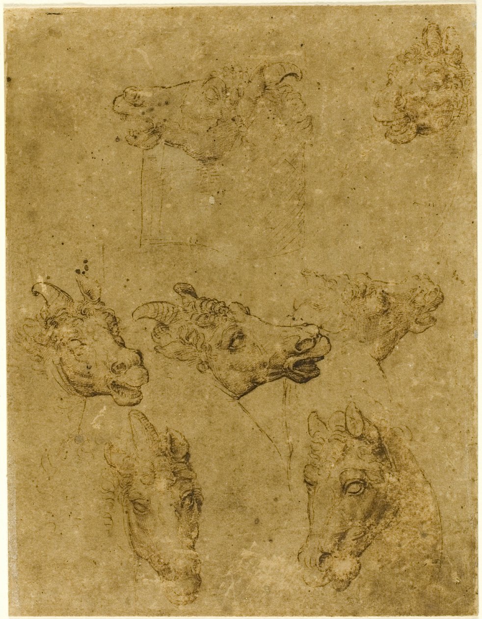 Hlavy koní a jednorožců od Follower of Leonardo da Vinci