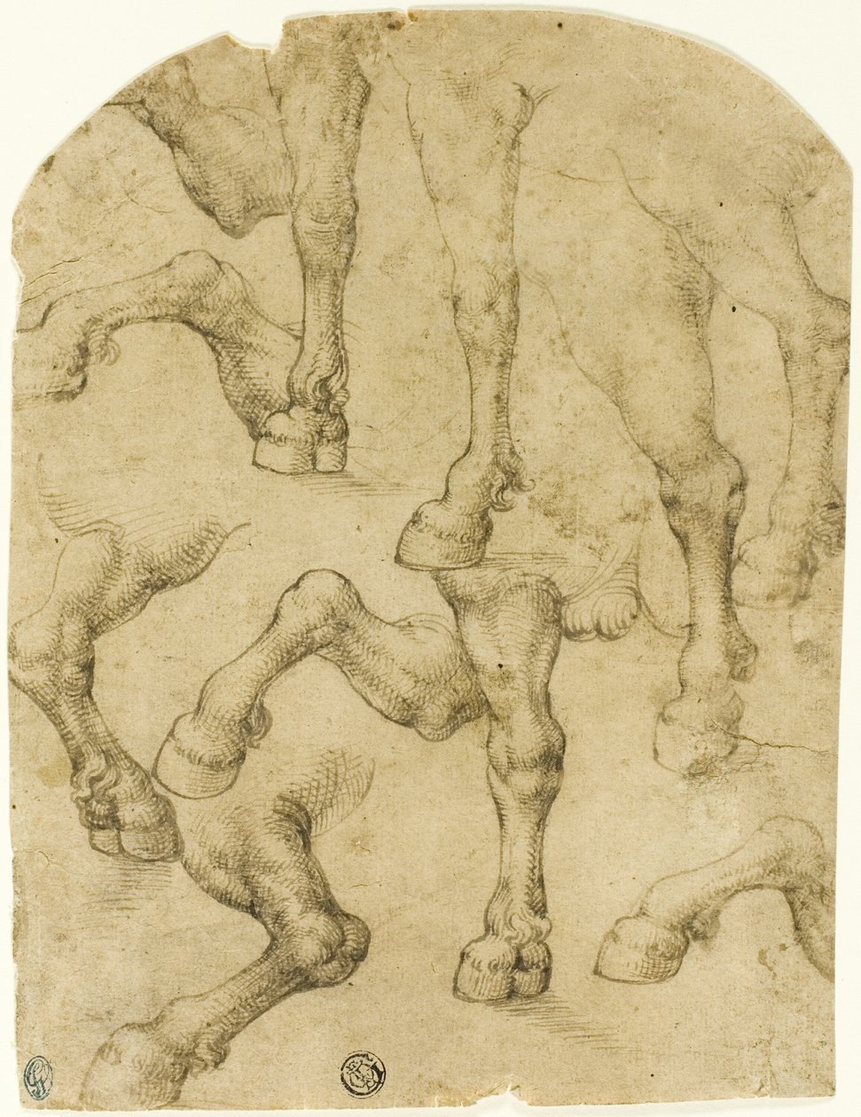 Náčrtky koňských nohou (recto); sloupy (verso) od Follower of Leonardo da Vinci