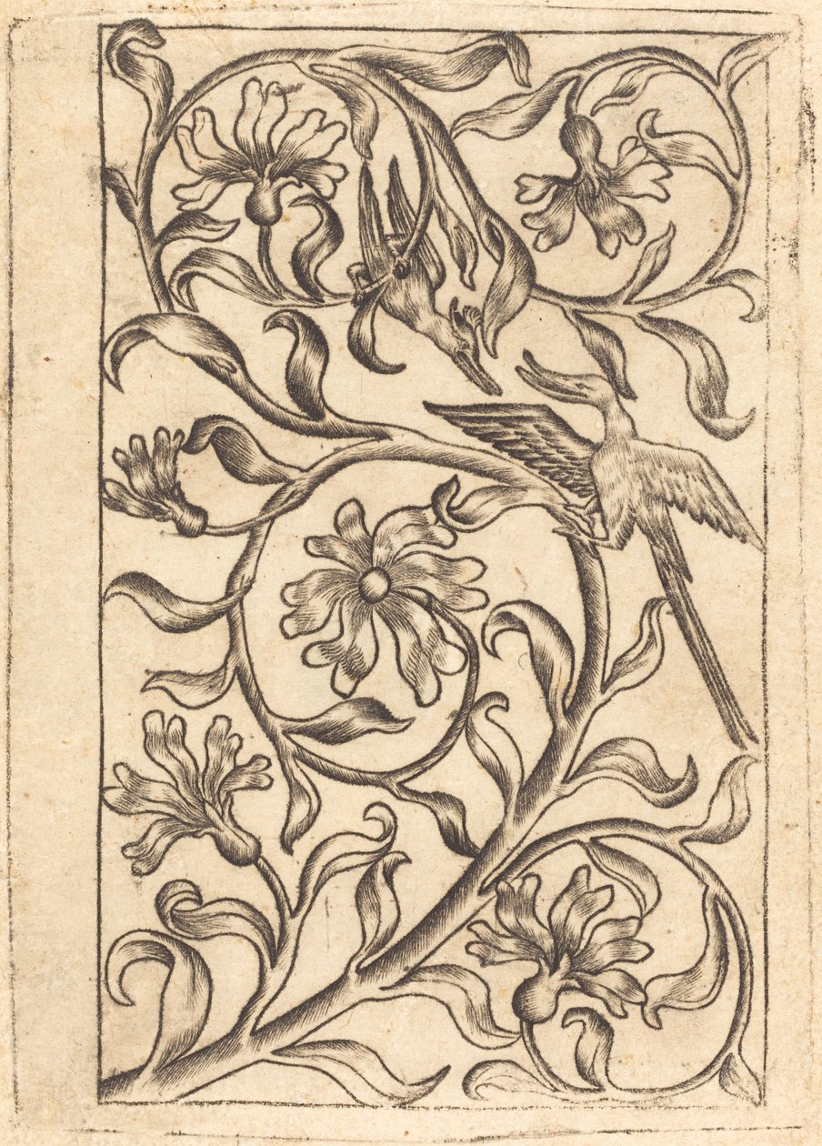 Vine Ornament se dvěma ptáky od Follower of Master of the Playing Cards