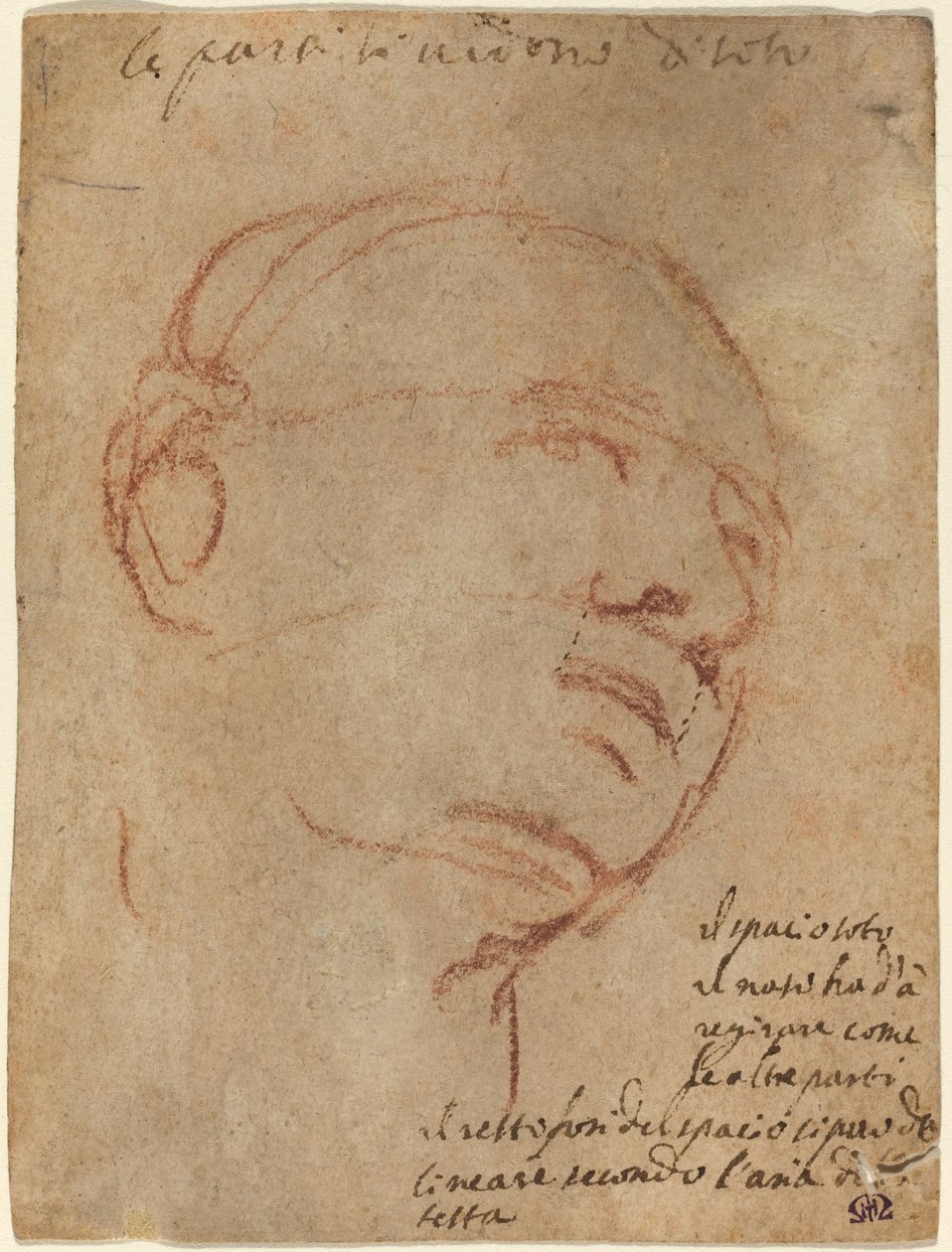 Hlava muže od Follower of Michelangelo