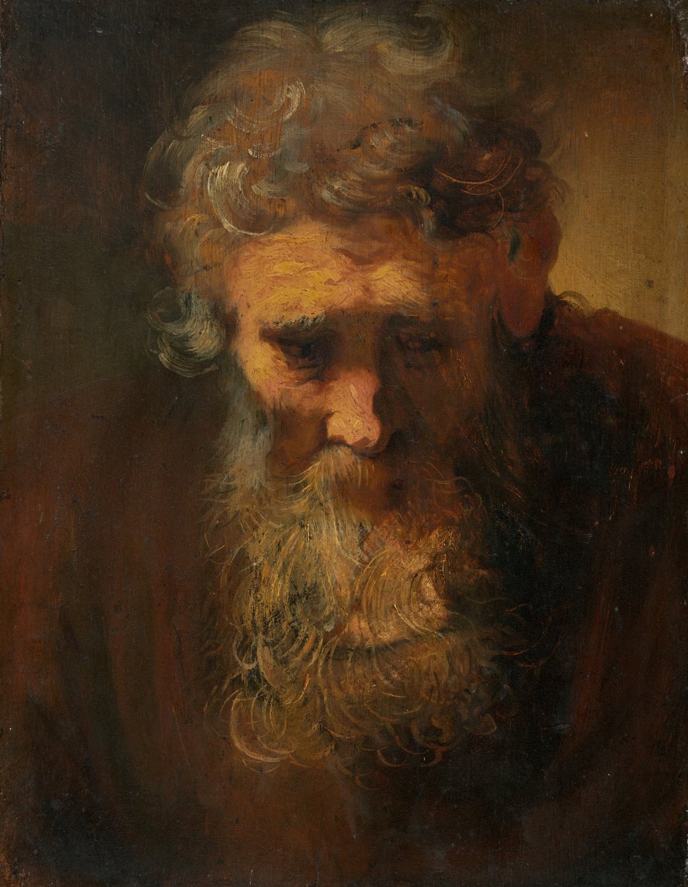 Studie starého muže od Follower of Rembrandt van Rijn