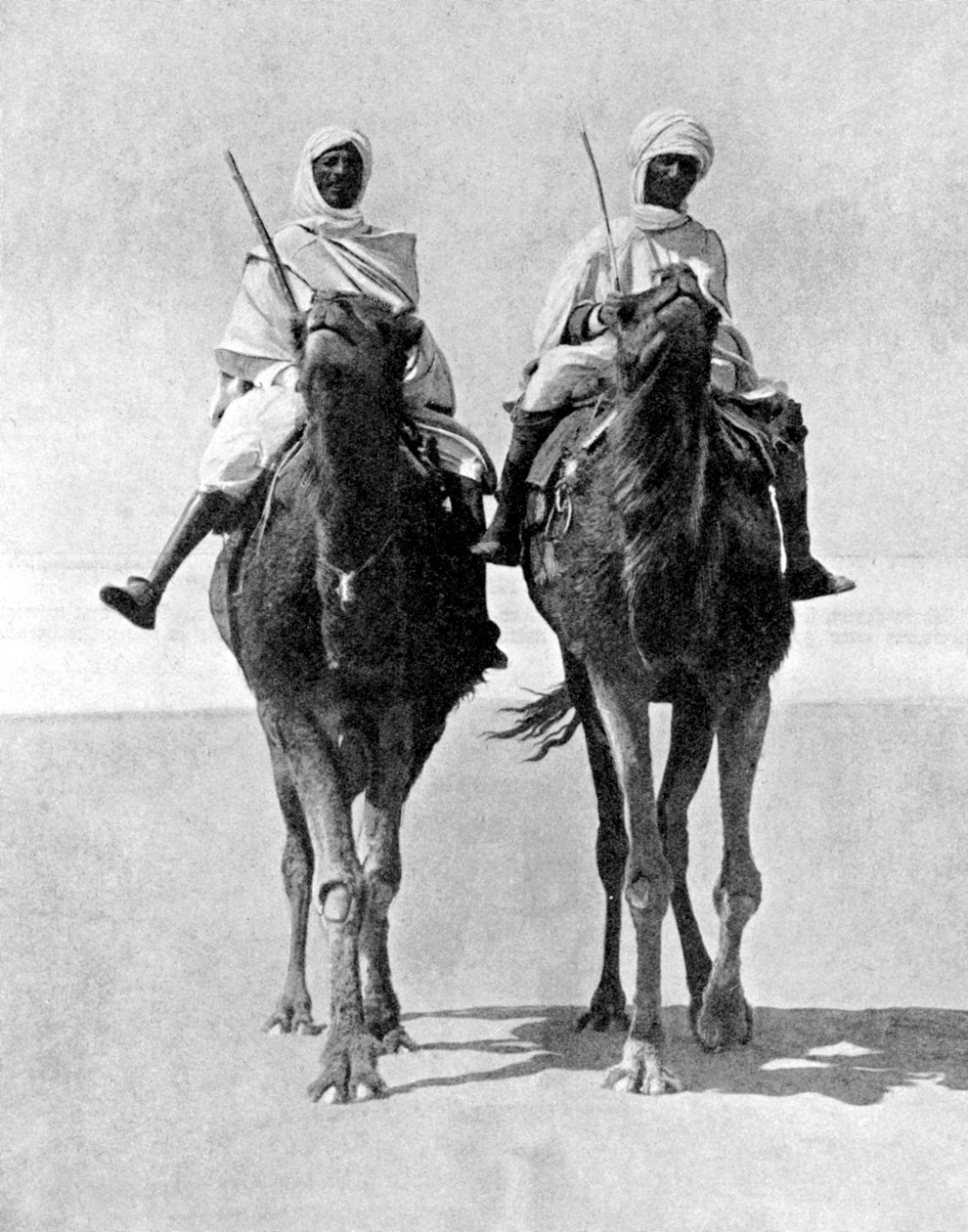 Dva Arabové jedoucí na velbloudech v Saharské poušti, Afrika, 1936. od Fox Photos