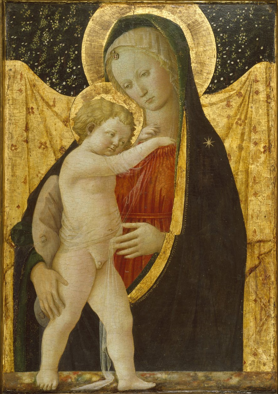Madonna a dítě, cca 1446-47 (tempera a zlato na panelu) od Fra Filippo Lippi