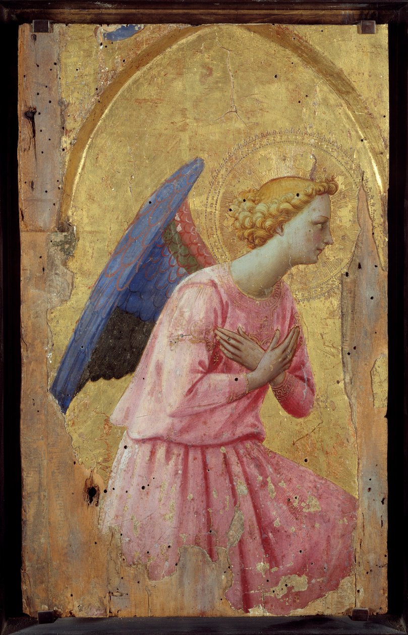 Anděl v adorační malbě od Fra Giovanniho (Guido di Pietro) dit Fra Angelico (1387-1455) od Fra  Angelico