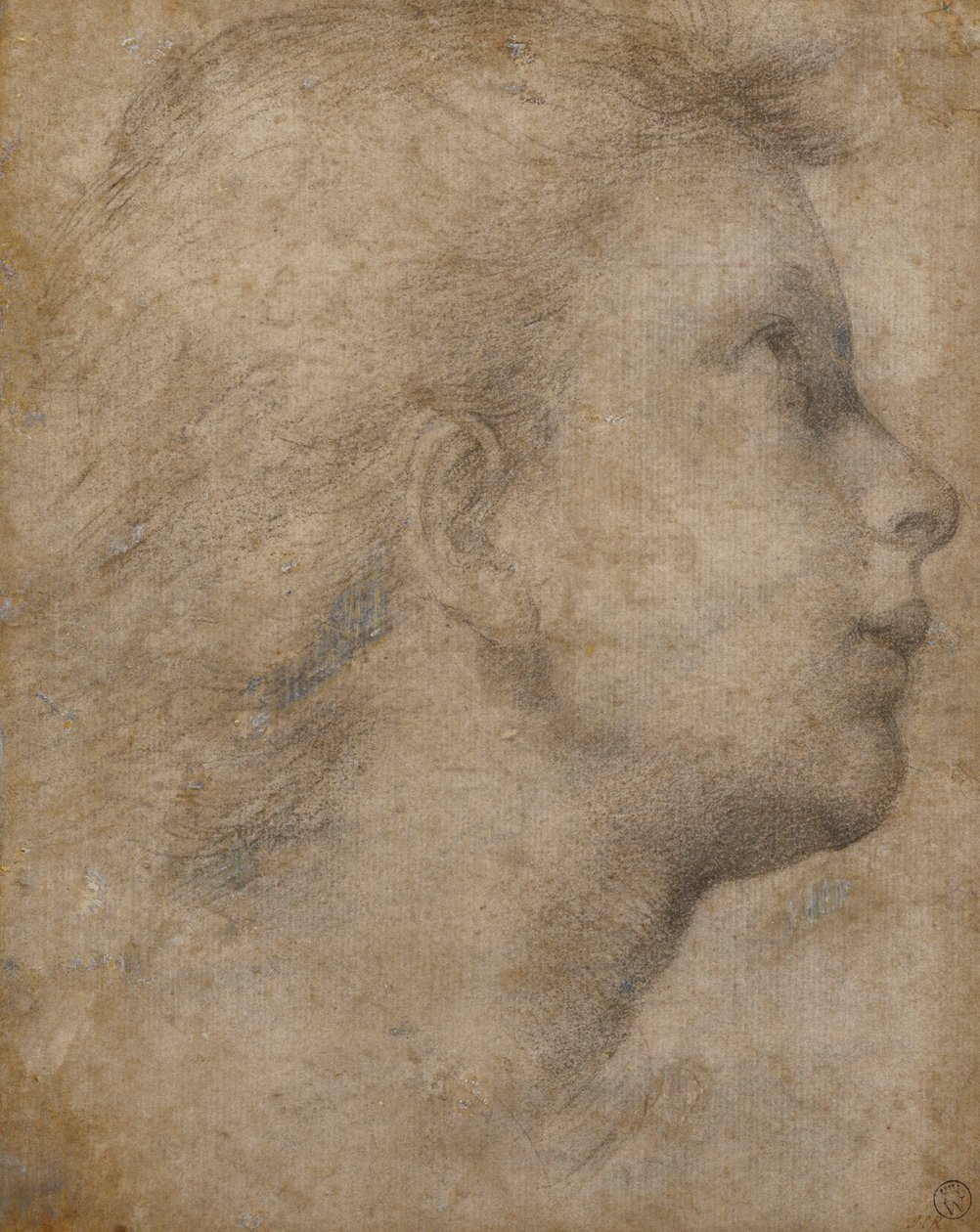 Hlava anděla v profilu hledící vpravo, od Fra Bartolomeo