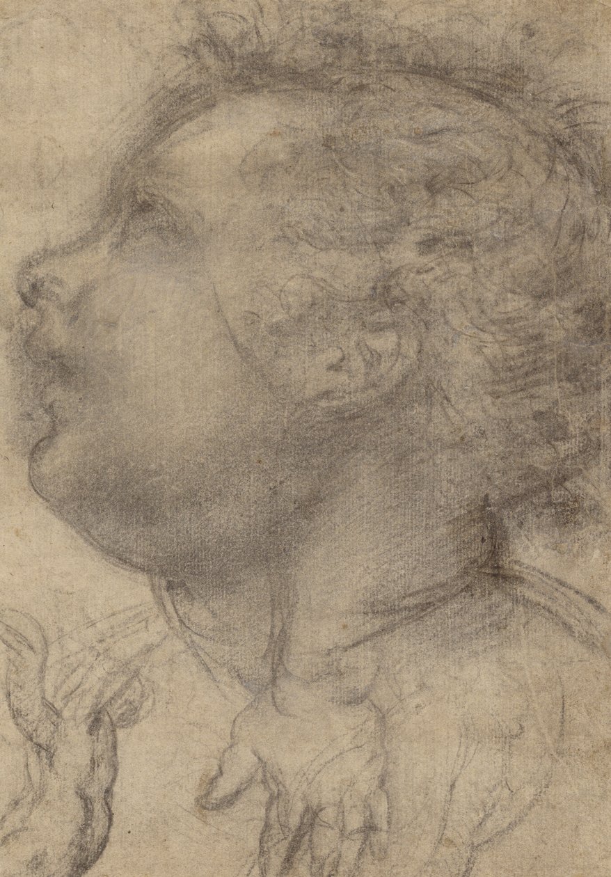 Hlava dítěte, anděl a ruka (recto); mužská postava (verso) od Fra Bartolommeo (Baccio della Porta)